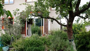 Un jardin avec un chemin de pierres, un arbre et un bâtiment doté d’une porte et de fenêtres.