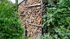 Un empilement de bois de chauffage formant un mur.