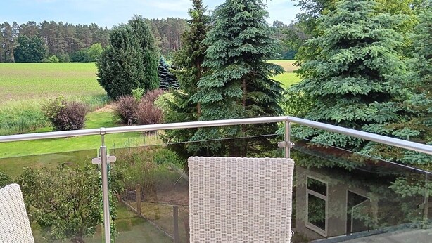 Un balcon doté d’une balustrade en verre, donnant sur un champ verdoyant et des arbres.