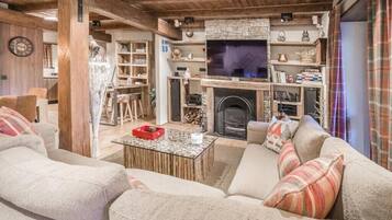 Televisión, chimenea, reproductor de DVD, libros