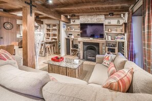 Télévision, cheminée, lecteur de DVD, livres