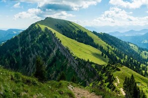 Douche, sèche-cheveux