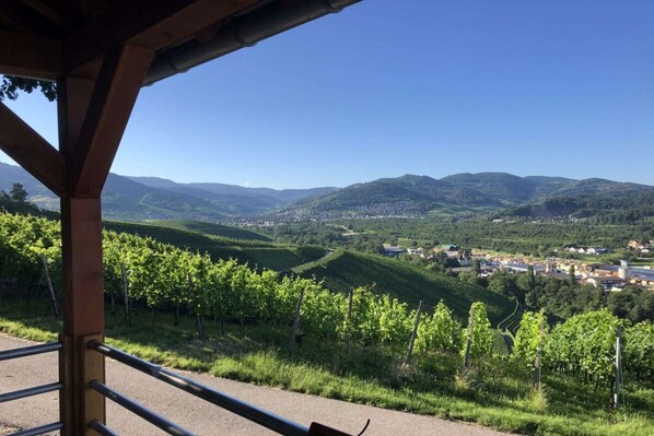 Property grounds - Azuria Black Forest Loft (Kappelrodeck)