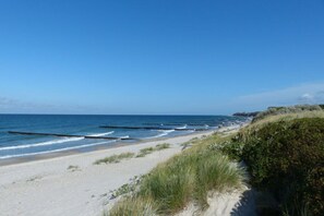 Nära stranden