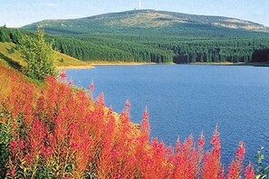 1 soveværelse, strygejern/strygebræt, gratis Wi-Fi, sengetøj