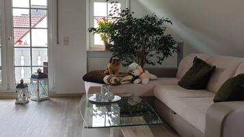 Fernseher, DVD-Player, Stereoanlage