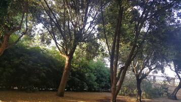 Parco della struttura