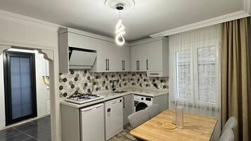 Familie appartement, keuken, op benedenverdieping | Privékeuken | Een mini-koelkast, een kookplaat, een vaatwasser, een waterkoker