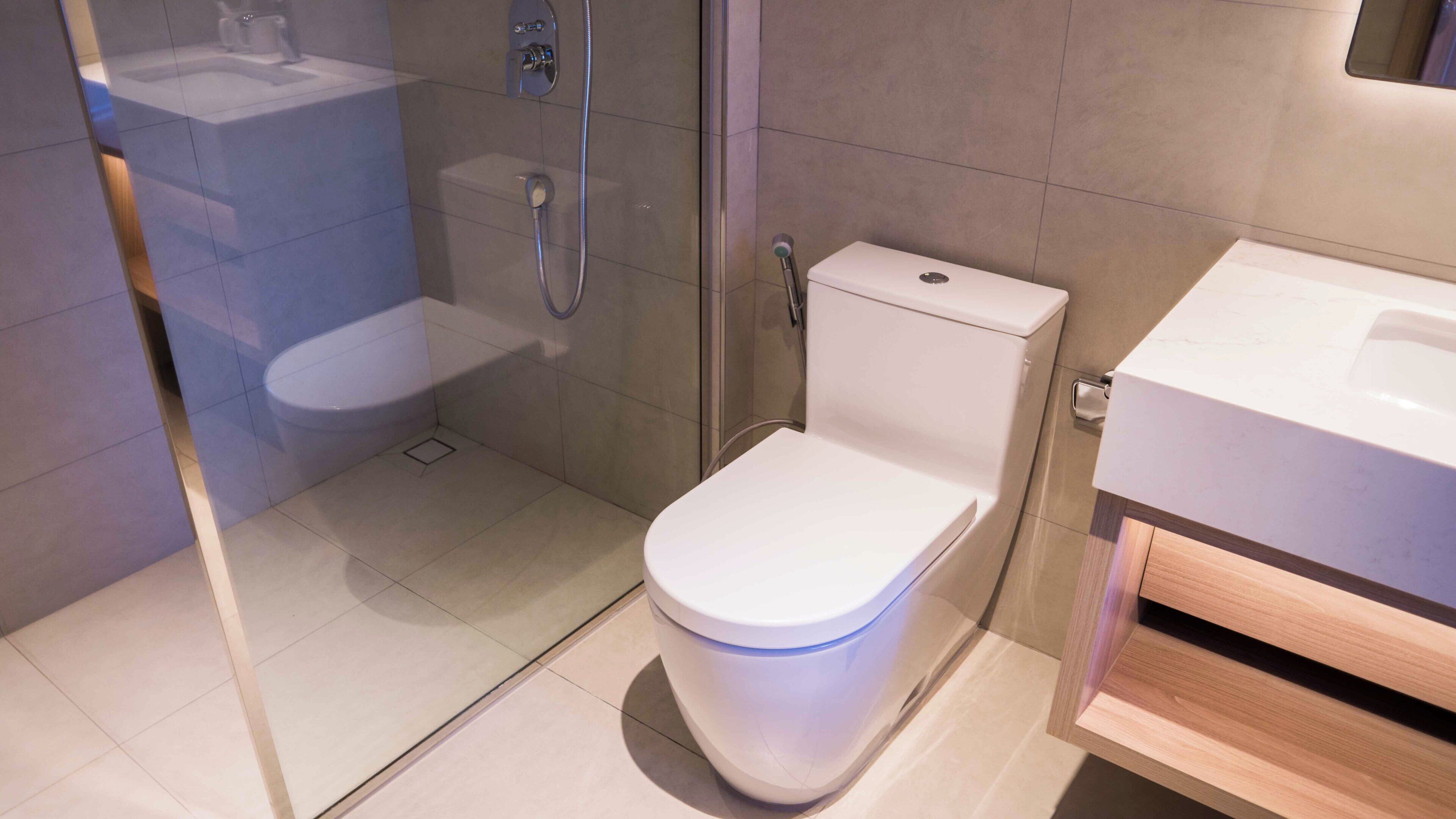 A modern bathroom with a glass-enclosed shower, a white toilet, and a sink.