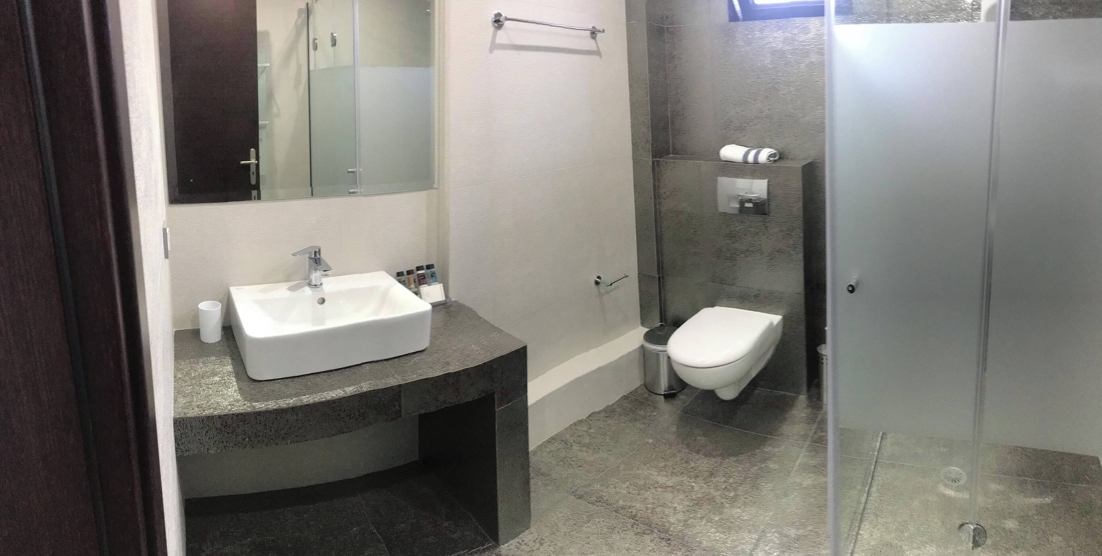 A modern bathroom with a white sink, a toilet, and a glass shower enclosure.