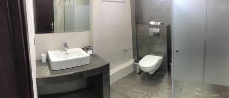 A modern bathroom with a white sink, a toilet, and a glass shower enclosure.