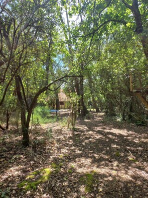 Overnattingsstedets uteområder