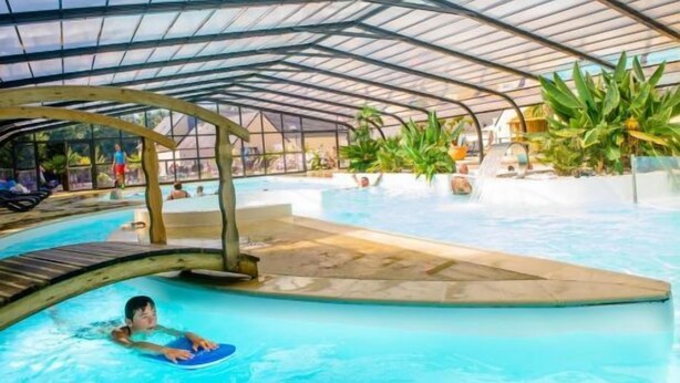 Piscina interior con techo de cristal, rodeada de plantas en macetas y una terraza de madera.