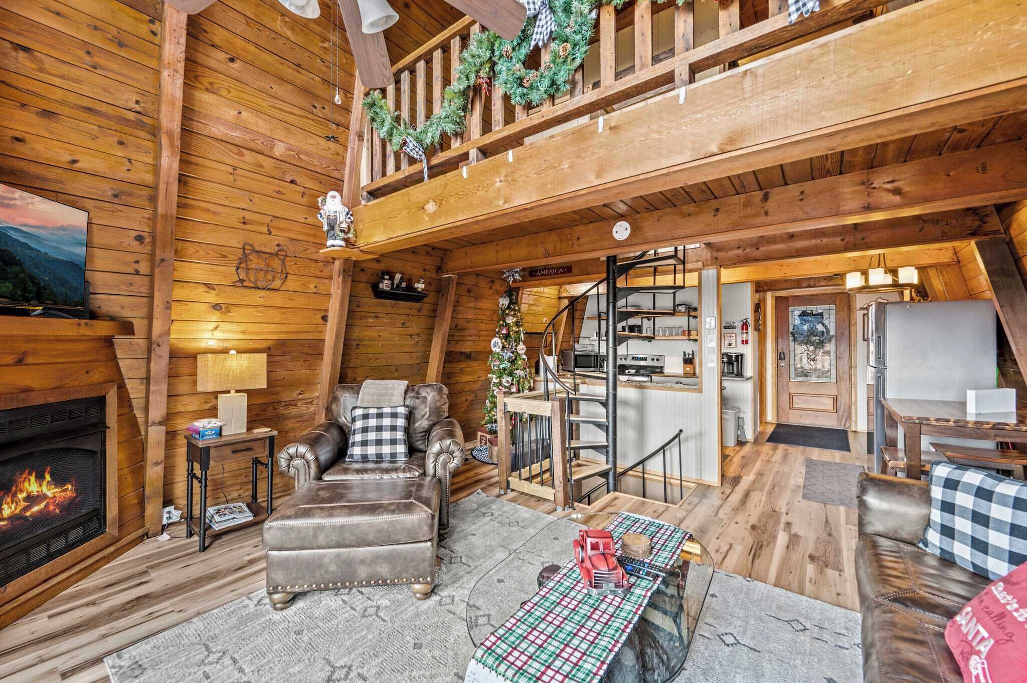 TV, fireplace, books, stereo