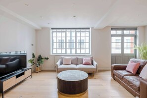 Fernseher, Arbeitsbereiche
