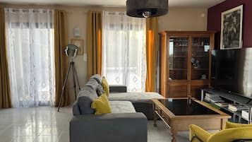 TV, fireplace, books