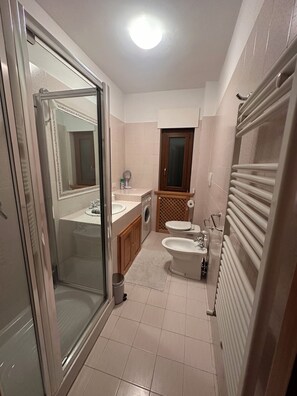 Shower, hair dryer, bidet, towels