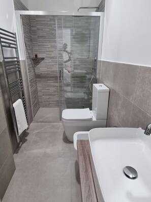 Shower, hair dryer, bidet, towels