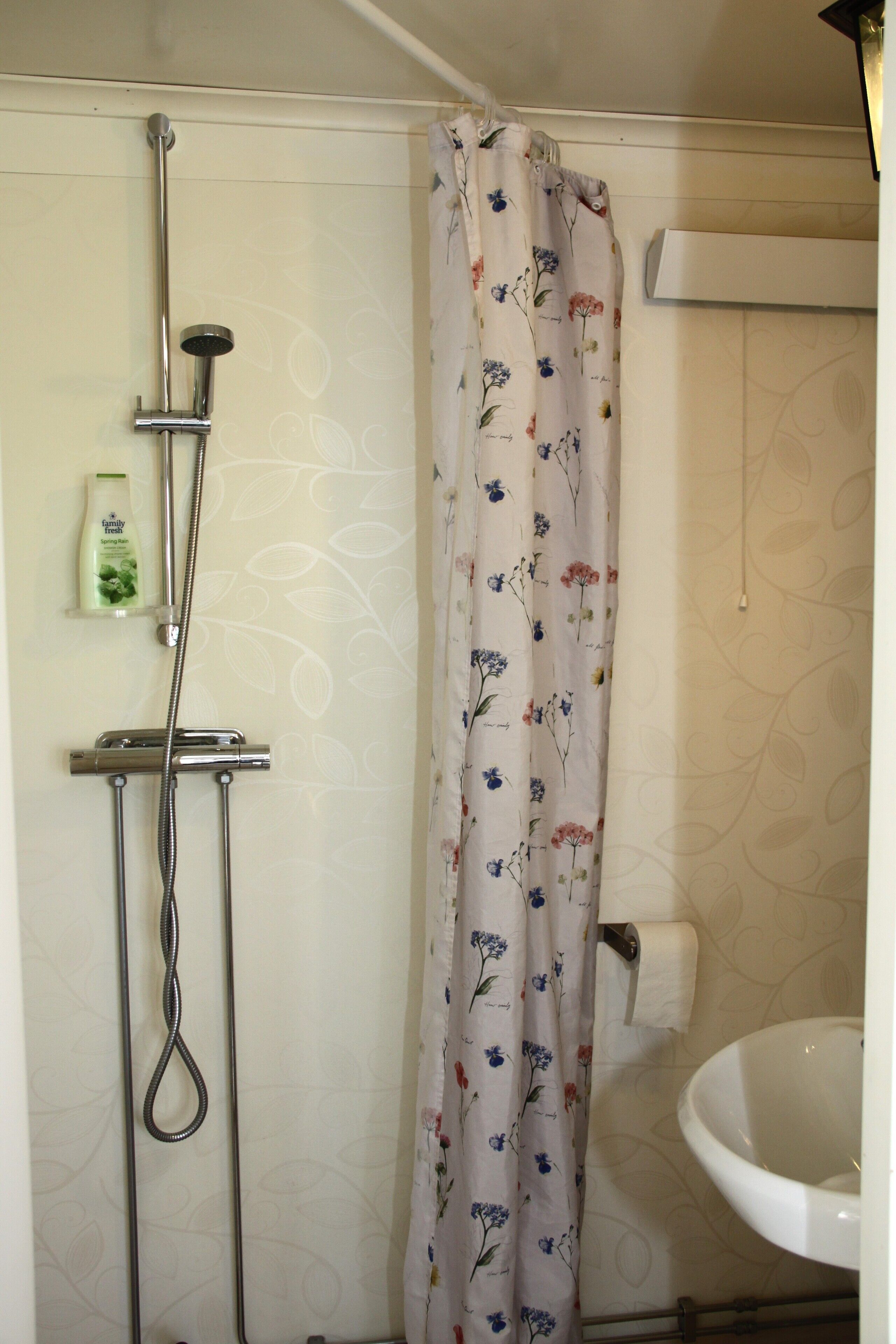 Une salle de bain avec une douche, un porte-rouleau de papier toilette et un lavabo.