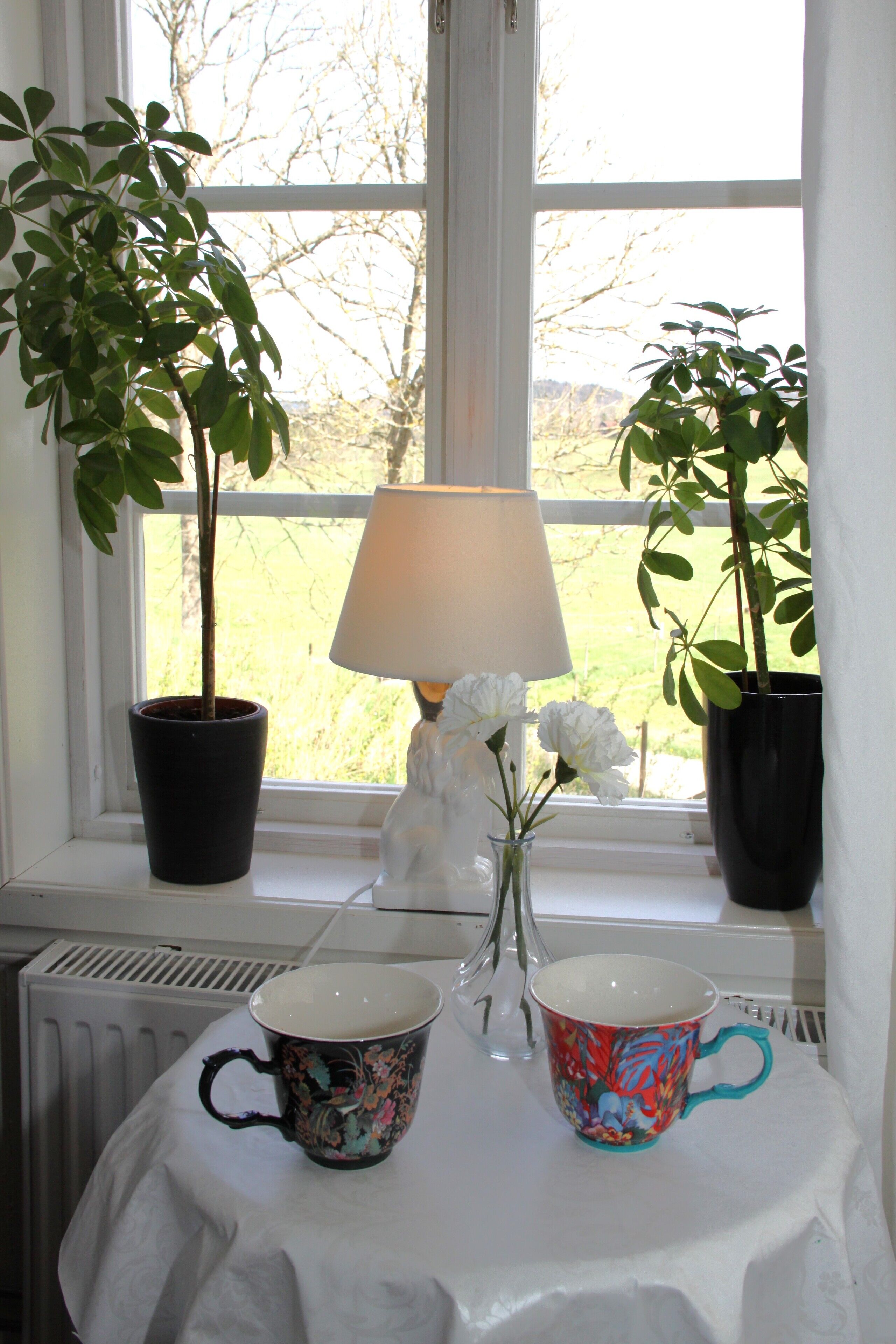 Una mesa con dos tazas, un florero con flores y dos macetas cerca de una ventana.