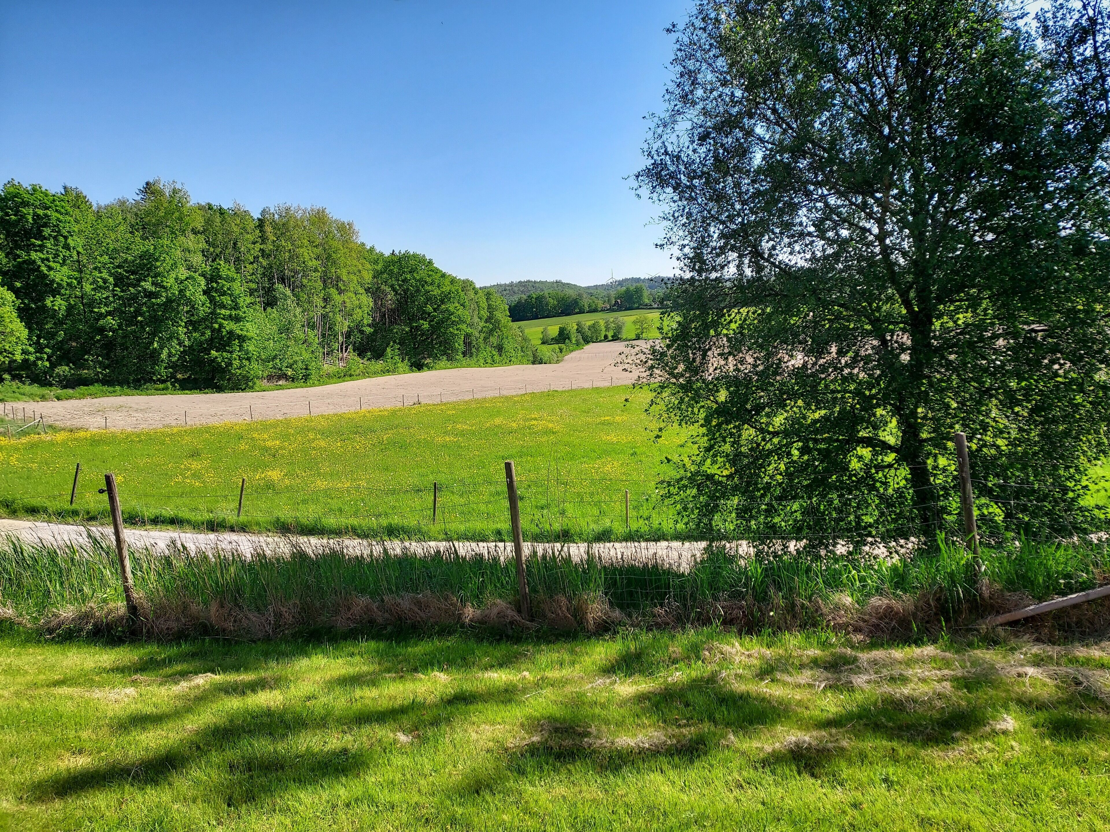 A rural landscape with a grassy field, a dirt path, and a fence.