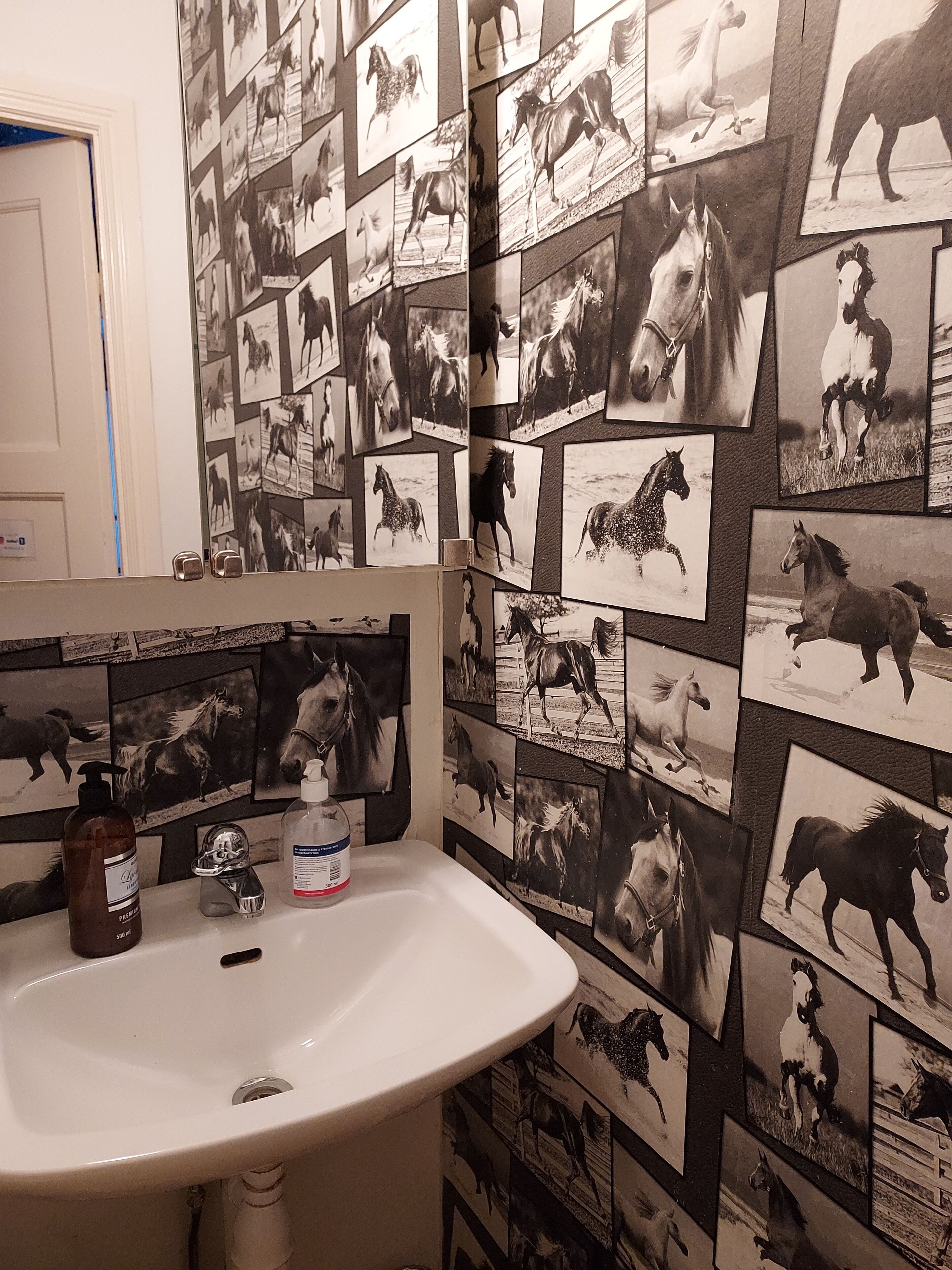 A bathroom with a sink, mirror, and wall adorned with numerous horse-themed photographs.
