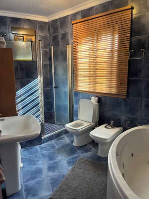 Dusche, Haartrockner, HandtĂŒcher, Seife
