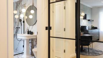 Shower, hair dryer, towels
