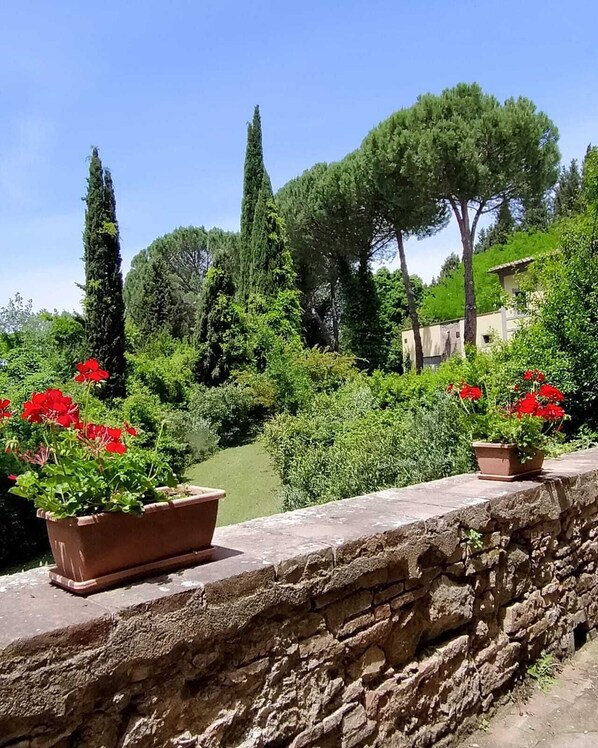 Overnattingsstedets uteområder