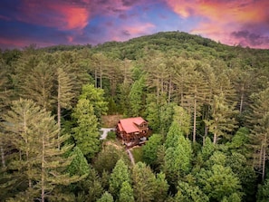 Una cabana envoltada per un bosc dens amb un cel serè.