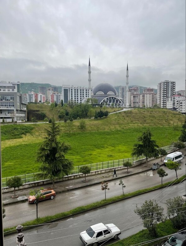Eine Moschee mit zwei Minaretten und einer großen Kuppel, umgeben von Wohngebäuden und einer Grünfläche. Im Vordergrund verläuft eine Straße.