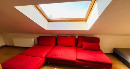 Le petit Mulhouse 401, Le Dream