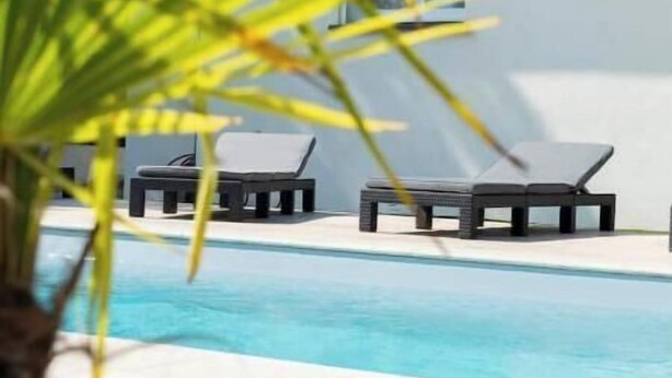 A poolside area with lounge chairs and a palm tree. - Villa Pardisoli 2. Logement Entier : Hébergement - Prunelli-di-fiumorbo, France (Prunelli-di-Fiumorbo)