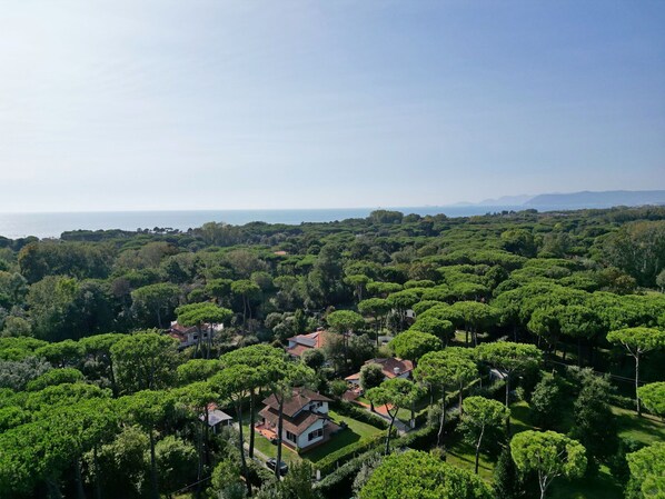 A coastal area with dense greenery and scattered houses.