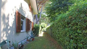 A narrow pathway flanked by a building with wooden shutters and potted plants.