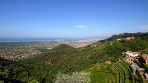 A panoramic view of a coastal city with a hillside featuring residential buildings and lush greenery.