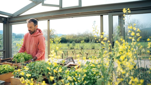 Une serre où une personne s’occupe des plantes, avec de grandes fenêtres et une vue sur un paysage rural.