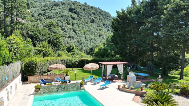 Una piscina con lettini e ombrelloni, immersa nel verde con montagne sullo sfondo.