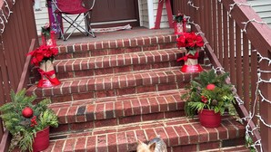 A brick staircase leading to a front door, decorated with Christmas wreaths and poinsettias. - HO HO HO! Holiday Discount (Franklinton)