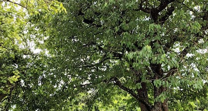 Gite DE LA Nature