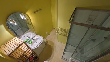 Dutxa, assecador de cabells i paper higiènic