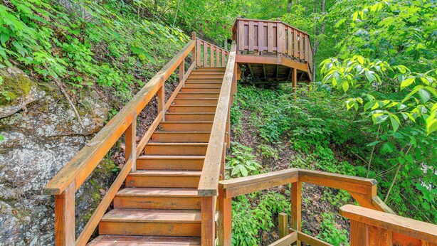 A wooden staircase leading up to a wooden platform in a lush, green forest. - Peaceful South Holston Lake Cabin w/ Dock & Deck! (Abingdon)
