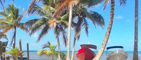 Plage à proximité, chaises longues, serviettes de plage