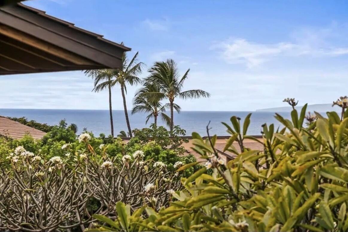 Une vue d’une zone côtière avec des palmiers et un bâtiment doté d’un toit en tuiles.