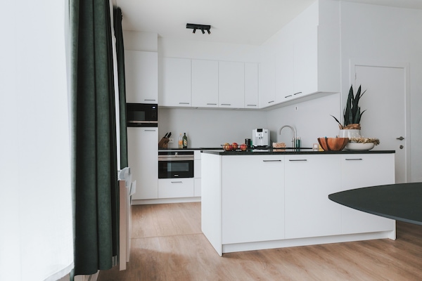 Microones, forn, placa de cuina i rentaplats