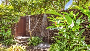 A tropical garden with a stone wall, a wooden door, and a small waterfall.