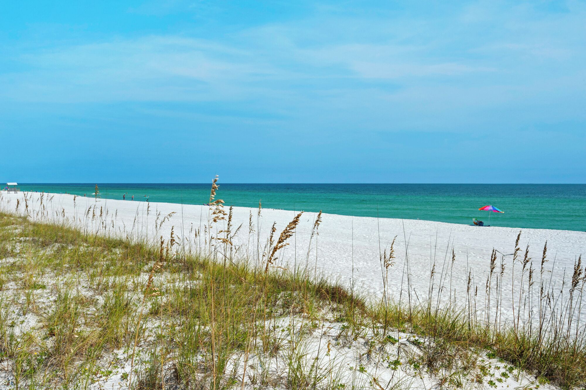 Une plage de sable blanc avec une végétation clairsemée.