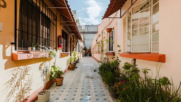 Un estrecho callejón con plantas en macetas y un extintor en la pared.