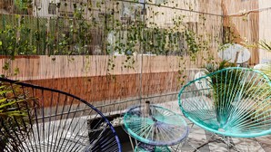 Una silla hamaca y una bicicleta en un jardín con una valla de bambú y follaje.
