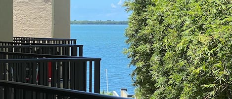 A balcony with a view of a calm body of water and a dense green tree.